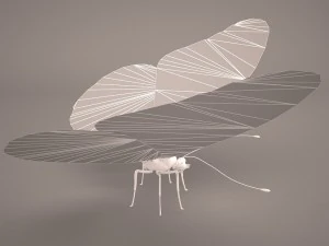 butterfly 3D Model