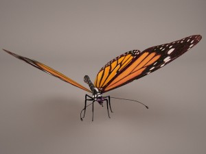 butterfly 3D 모델