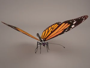 butterfly 3D Model