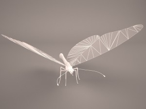butterfly 3D 모델