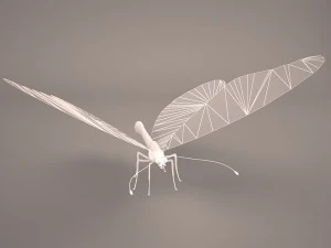 butterfly 3D Model