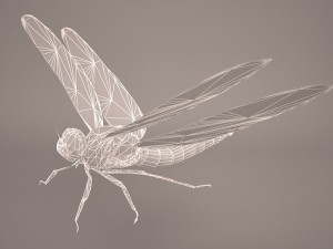 dragonfly 3D Модель