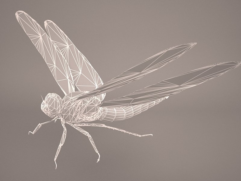 Dragonfly 3D Model in Insects 3DExport