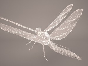 dragonfly 3D Модель