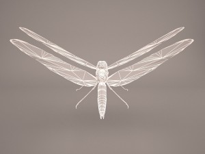 dragonfly 3D Модель