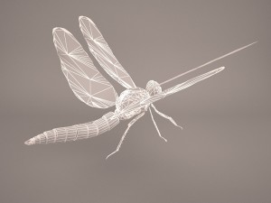 dragonfly 3D Модель