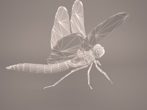 dragonfly 3D Модель