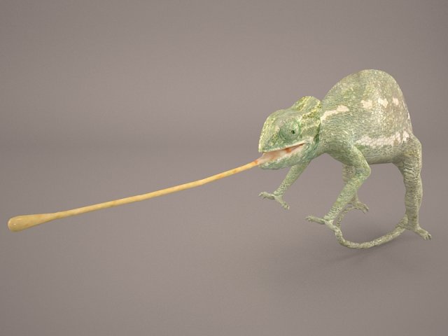 chameleon 3D Model .c4d .max .obj .3ds .fbx .stl .blend 