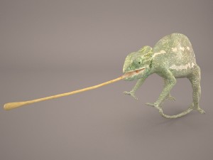 chameleon 3D मॉडल