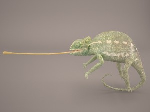 chameleon 3D Model