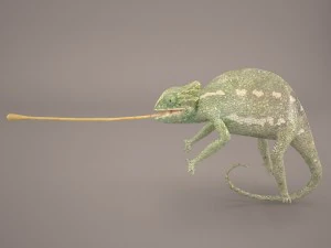 chameleon 3D Model