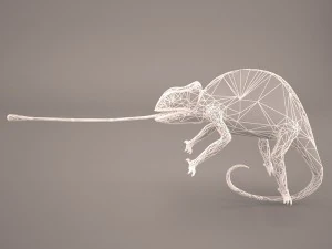 chameleon 3D Model