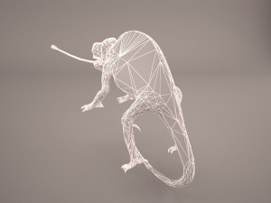 chameleon 3D Model