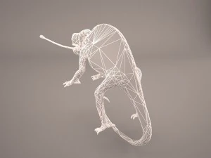 chameleon 3D Model