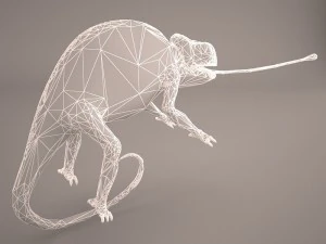 chameleon 3D Model