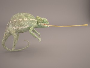 chameleon 3D Model