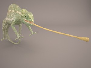 chameleon 3D Model