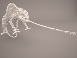 chameleon 3D Model