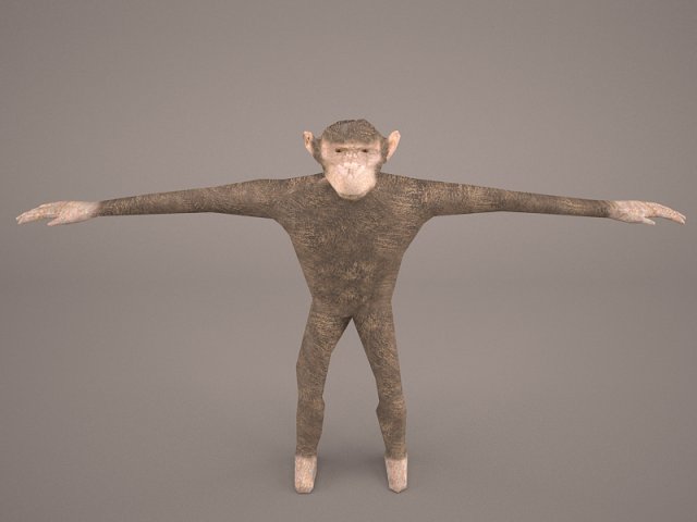 chimpanzee 3D मॉडल .c4d .max .obj .3ds .fbx .stl .blend 