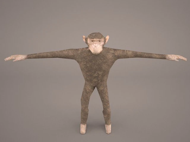 chimpanzee 3D Model .c4d .max .obj .3ds .fbx .stl .blend 