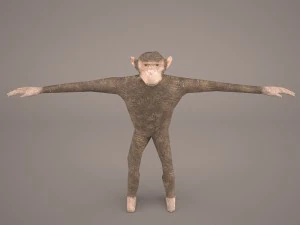 шимпанзе 3D Модель