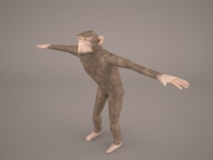 chimpanzee 3D मॉडल