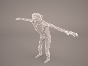 chimpanzee 3D मॉडल