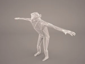 chimpanzee 3D Model