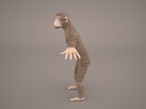 chimpanzee 3D मॉडल