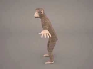chimpanzee 3D Model