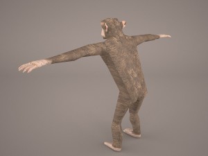 chimpanzee 3D मॉडल
