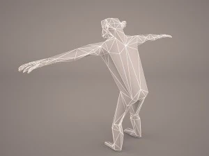 chimpanzee 3D Model