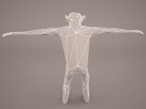 chimpanzee 3D मॉडल