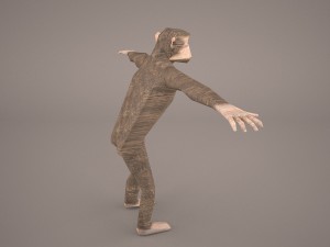 chimpanzee 3D मॉडल
