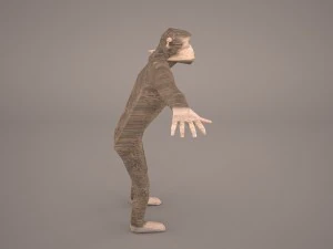 chimpanzee 3D Model