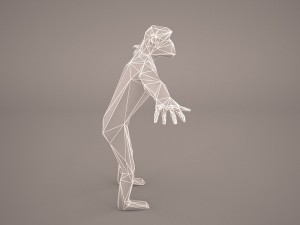 chimpanzee 3D मॉडल