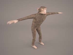 chimpanzee 3D मॉडल