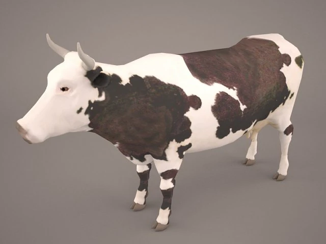 cow 3d model 3D Model .c4d .max .obj .3ds .fbx .stl .blend 