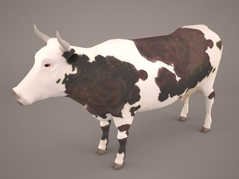 Cow 3d Model 3d Model In Cow 3dexport