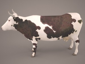 cow 3d model Modello 3D