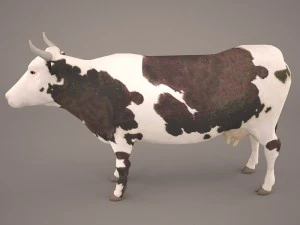 cow 3d model 3D Model