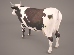 cow 3d model Modello 3D