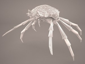 tasmanian giant crab 3D-Modell