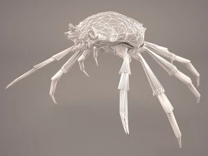 तस्मानियाई विशाल केकड़ा 3D मॉडल