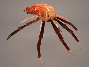 तस्मानियाई विशाल केकड़ा 3D मॉडल