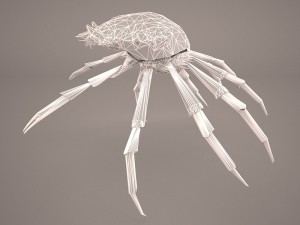 tasmanian giant crab 3D-Modell