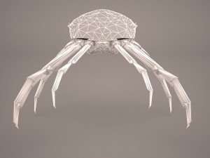 tasmanian giant crab 3D-Modell