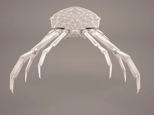 तस्मानियाई विशाल केकड़ा 3D मॉडल