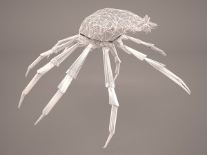 tasmanian giant crab 3D-Modell