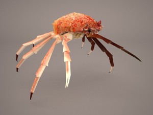 tasmanian giant crab 3D-Modell
